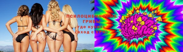 шишки Алексин