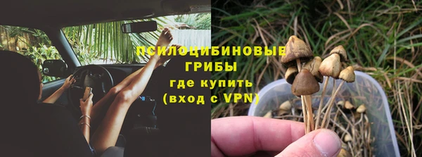 каннабис Алексеевка