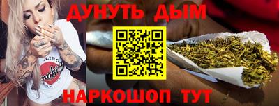 сатива Гатчина