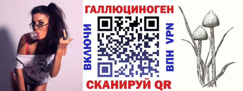 Галлюциногенные грибы Cubensis  сайты даркнета какой сайт  Волхов 