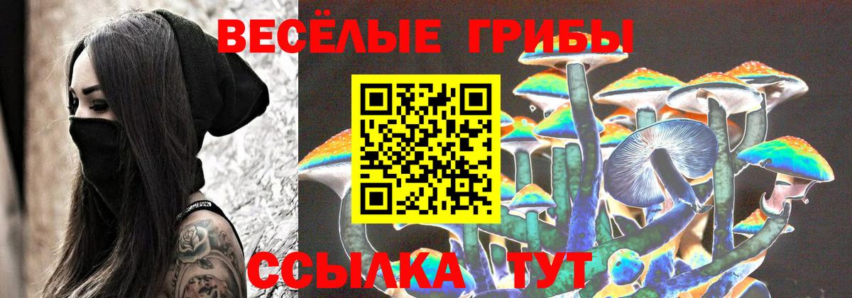 Псилоцибиновые грибы мицелий  Волхов 