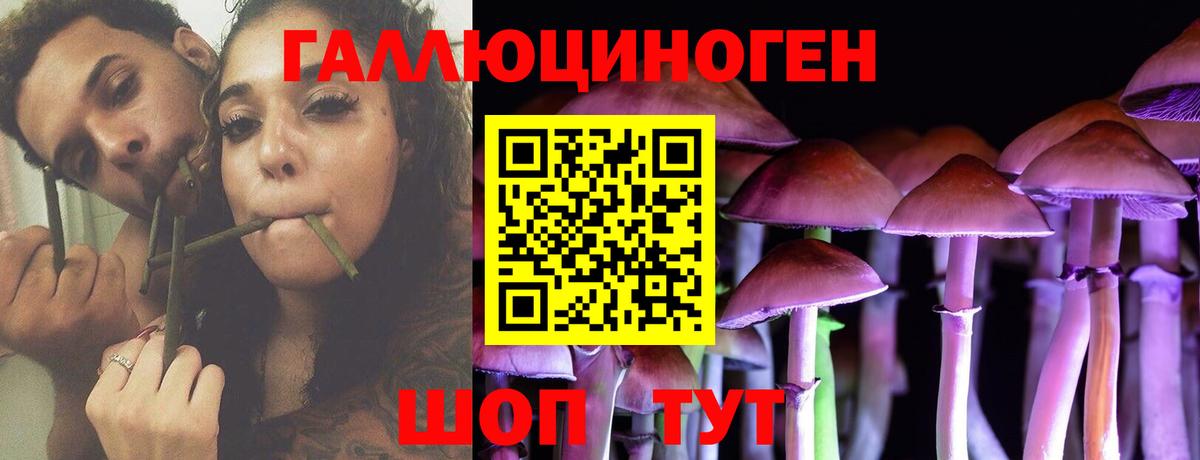 Галлюциногенные грибы мухоморы Волхов